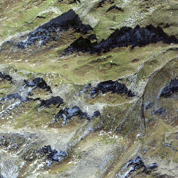 Satellite imagery of Gross Schatz, CH