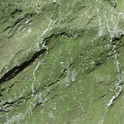 Satellite imagery of Chrüzgütsch, CH