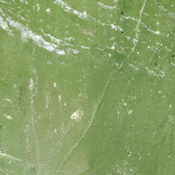 Satellite imagery of Piz la Tschera, CH