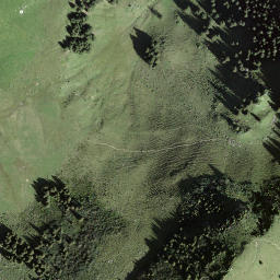 Satellite imagery of Hore am Rüederigs, CH