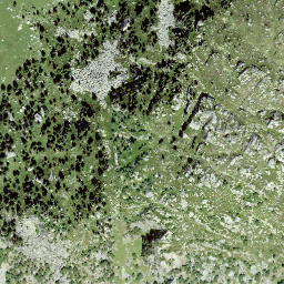 Satellite imagery of Caschlera, CH