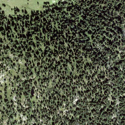 Satellite imagery of Muttans, CH