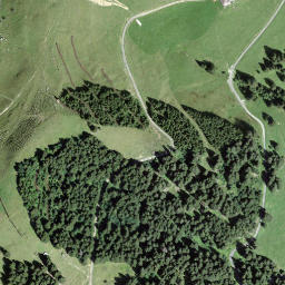 Satellite imagery of Pfadflue, CH