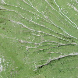 Satellite imagery of Bündihore, CH