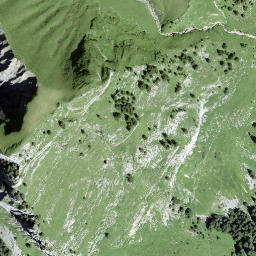 Satellite imagery of Glütschstock, CH