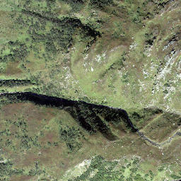 Satellite imagery of Höhenbiel, CH