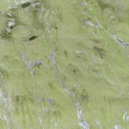 Satellite imagery of Safierberg, CH