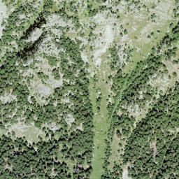 Satellite imagery of Caschlera, CH