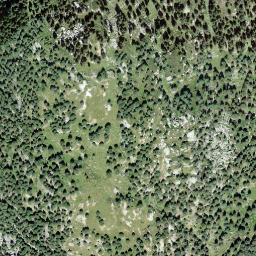 Satellite imagery of Muttans, CH