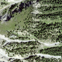 Satellite imagery of Pizzet, CH