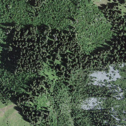 Satellite imagery of Wolfs Ort, CH