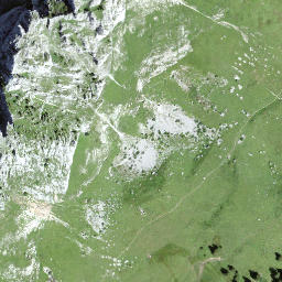 Satellite imagery of Wolfs Ort, CH