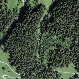 Satellite imagery of Glütschstock, CH