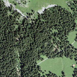 Satellite imagery of Glütschstock, CH