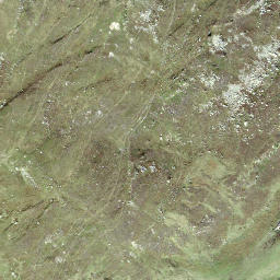 Satellite imagery of Gässler, CH