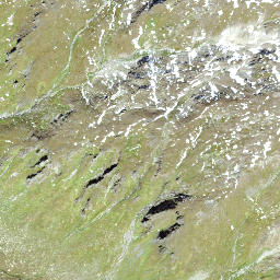 Satellite imagery of Schwarzlochhorn, CH
