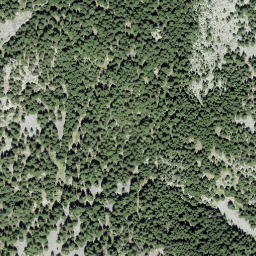 Satellite imagery of Muttans, CH