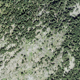 Satellite imagery of Muttans, CH
