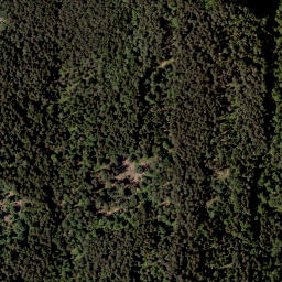 Satellite imagery of Petelin, AT