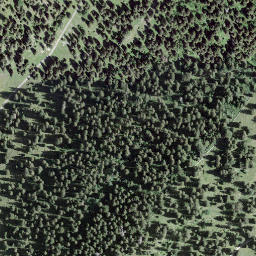 Satellite imagery of Petit Cunay, CH