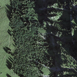 Satellite imagery of Gehrihore, CH
