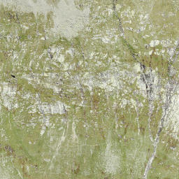 Satellite imagery of Nalps, Pass, CH