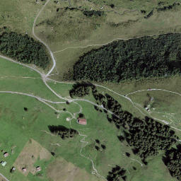 Satellite imagery of Allmendhubel, CH