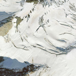 Satellite imagery of Walcherhorn, CH