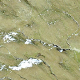 Satellite imagery of Schattmigen Firsten, CH