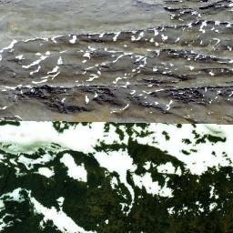 Satellite imagery of Punta del Corvo, CH