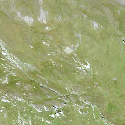 Satellite imagery of Tällihorn, CH