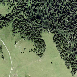 Satellite imagery of Motta Tscharnoz, CH