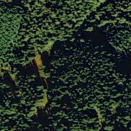 Satellite imagery of Tamarack Ridge, US