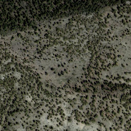 Satellite imagery of Spring Hill Tailings, US