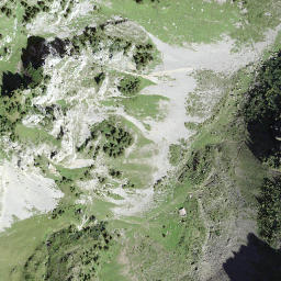Satellite imagery of Bachflue, CH