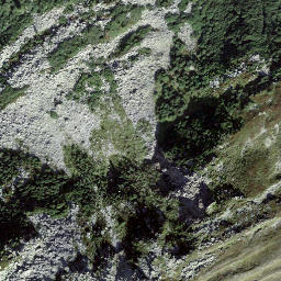 Satellite imagery of Bidmer, CH