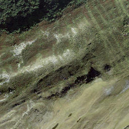 Satellite imagery of Bidmer, CH