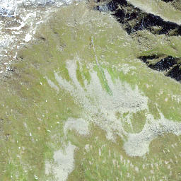 Satellite imagery of Giübin, CH