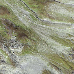 Satellite imagery of Poncioni Negri, CH
