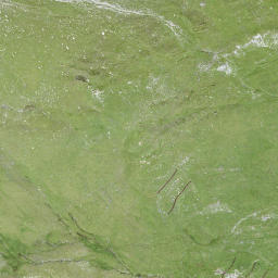 Satellite imagery of Schollenhorn, CH