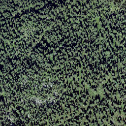 Satellite imagery of Ross Chopf, CH