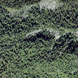Satellite imagery of Nesslabüel, CH