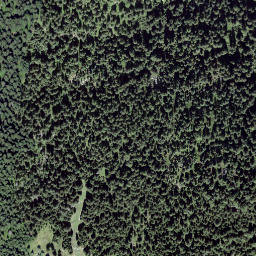 Satellite imagery of Schwarzwaldchopf, CH
