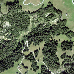 Satellite imagery of Piz digl Gurschus, CH