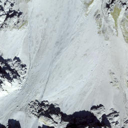 Satellite imagery of Monte Forcola, CH