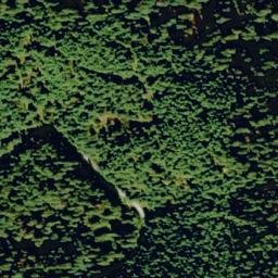 Satellite imagery of Tamarack Ridge, US