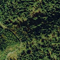 Satellite imagery of Tamarack Ridge, US