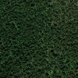 Satellite imagery of Windy Ridge, US