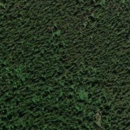 Satellite imagery of Windy Ridge, US