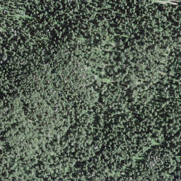 Satellite imagery of 195, FR